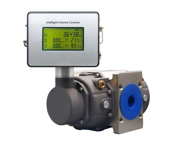 Gas Roots Flowmeter